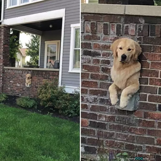 My Lookout Post