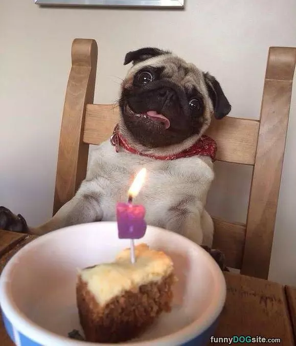 This Makes Me So Happy Thanks