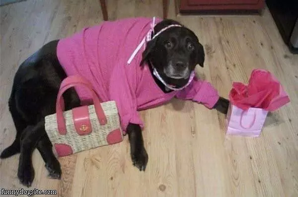 Dressed In Pink