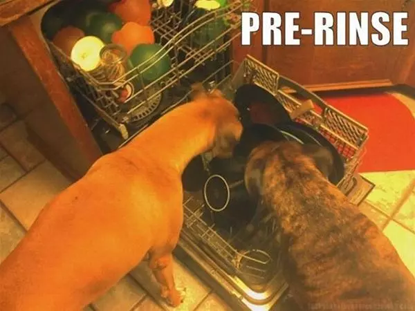 Pre Rinse