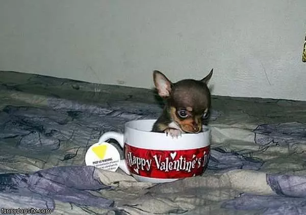 Valentines