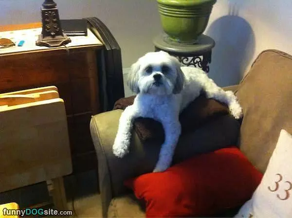 Where I Like To Sit