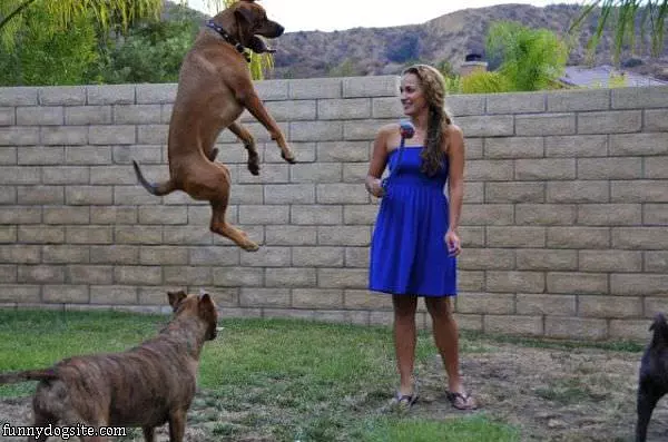 High Jumper