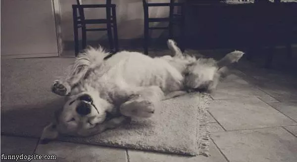 Lounging Around