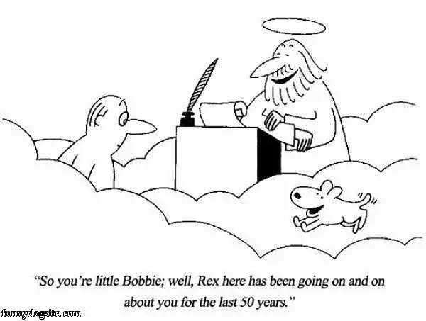 A Dogs Loyalty