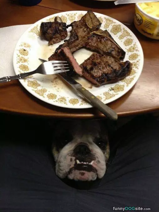 Can I Has A Piece