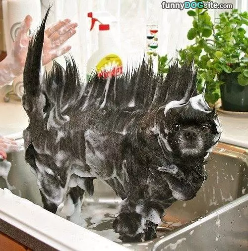 Soapy Bath Time