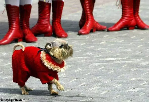 Nice Sweater