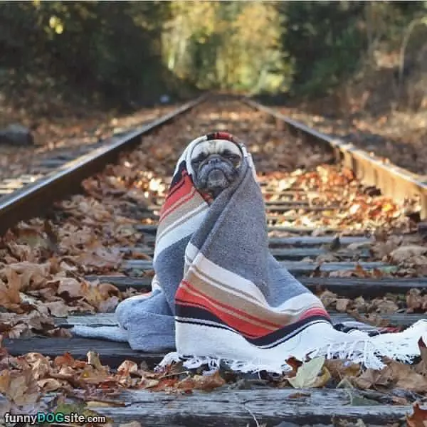 Cold Day