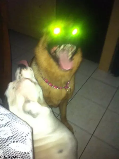 Crazy Eyes