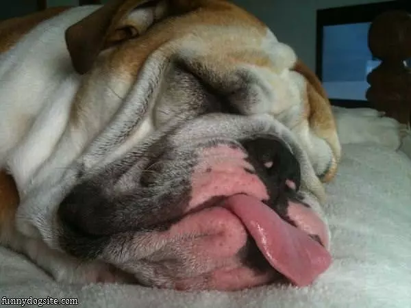 Getting Some Zzzzs