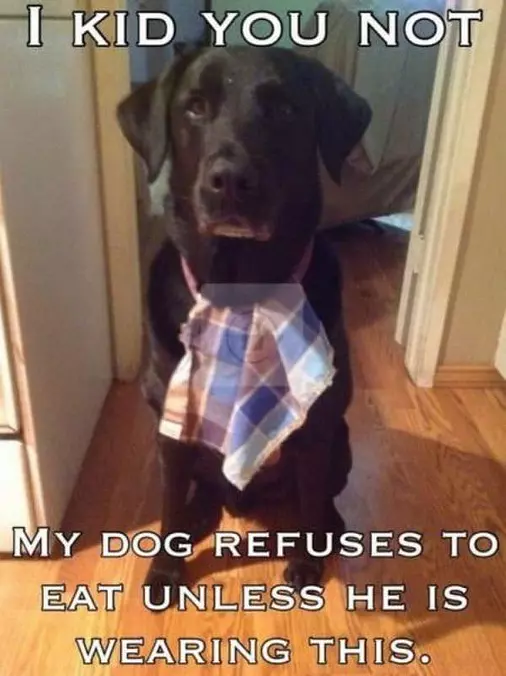 Kid You Not