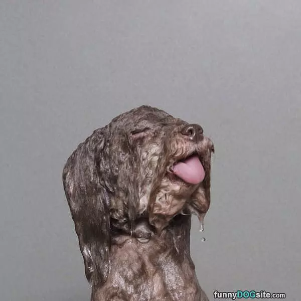 Soaking Wet