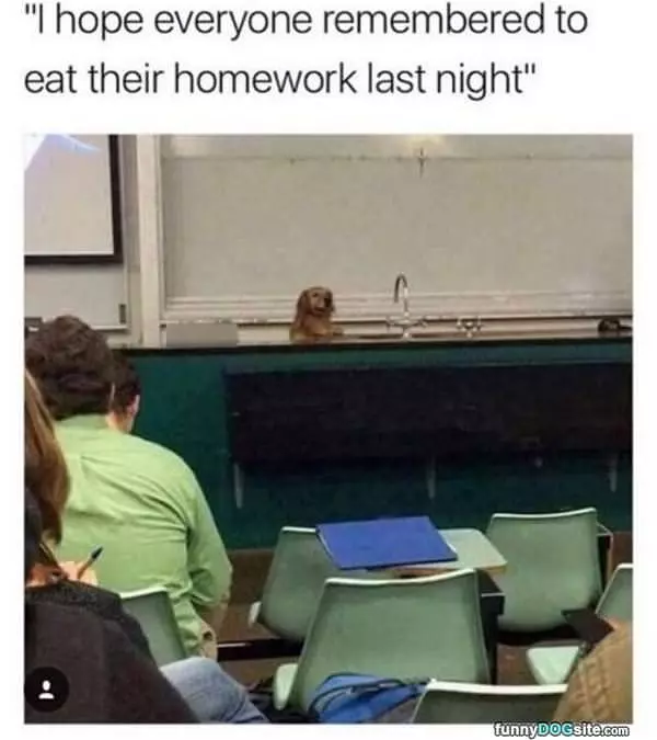 I Hope Everyone Remembered