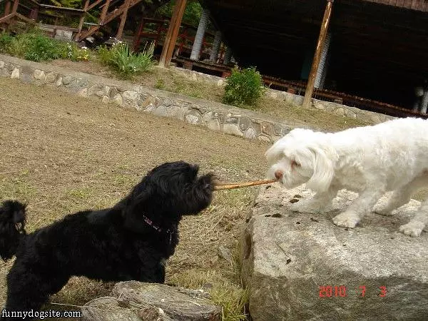 Tug Of War