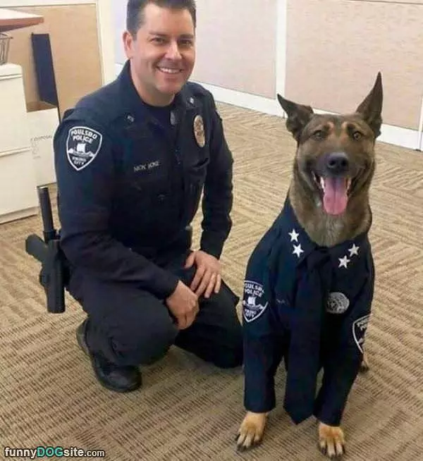 The Police