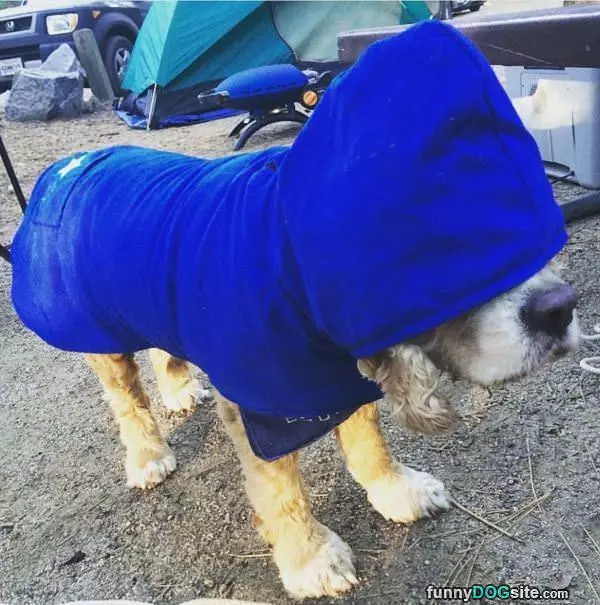 Hood Up Here