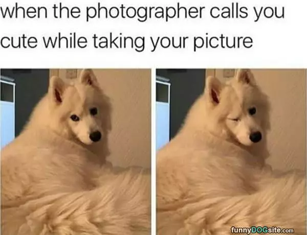 Can You Look Cute For This One