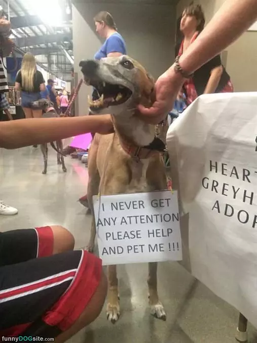 I Never Get Attention