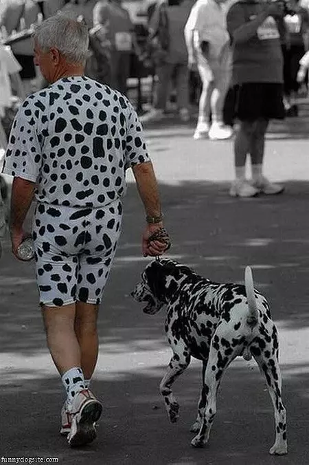 Spots Owner
