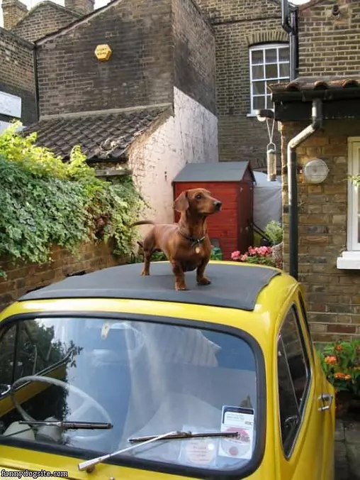 Im On Your Car