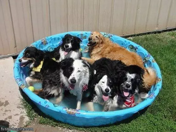 Warm Summer Day