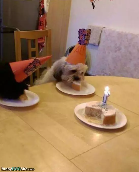 My Birthhhhday