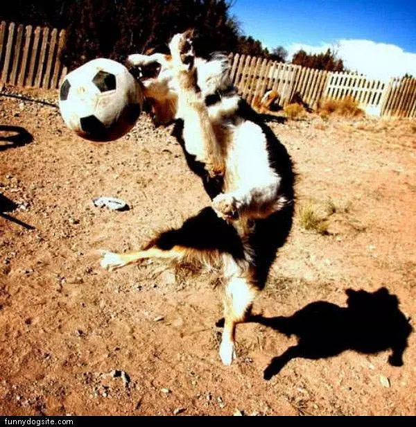 Soccer
