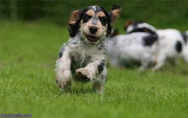 Running Fast