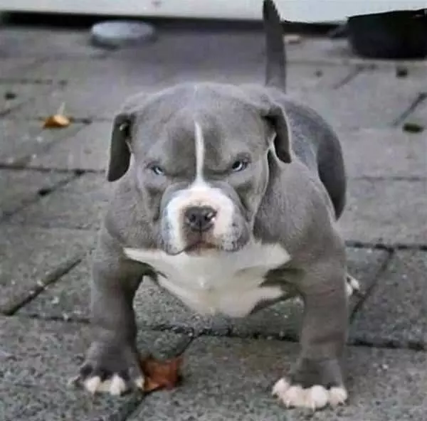 I Am Soooo Mad