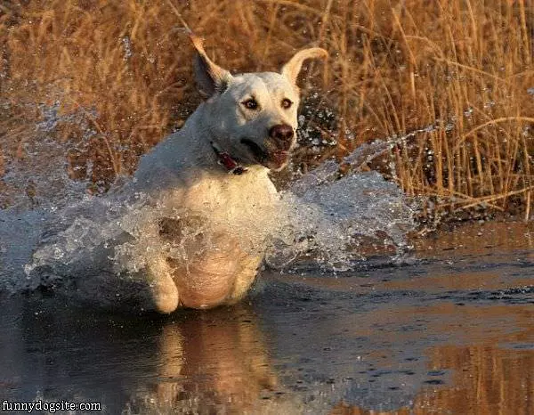 Splashing Around