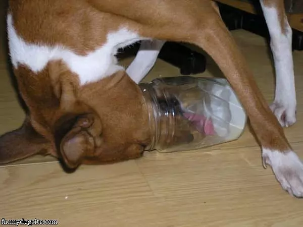 Every Last Drop