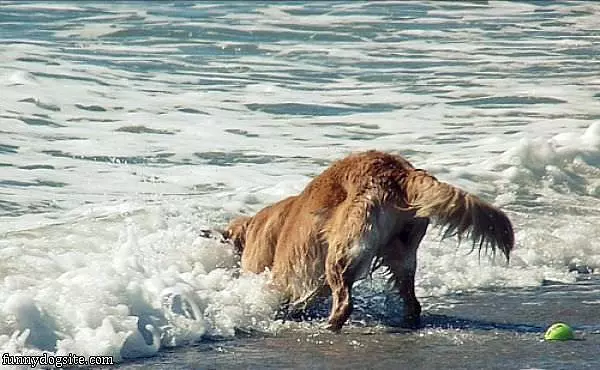 Fighting The Water