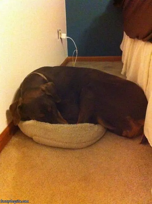 I Kinda Fits