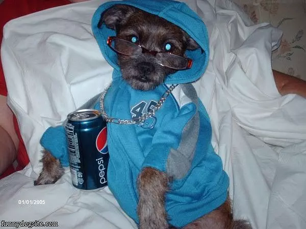 The Pepsi Dog