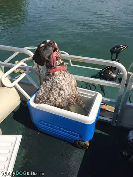 Cooling Off A Bit