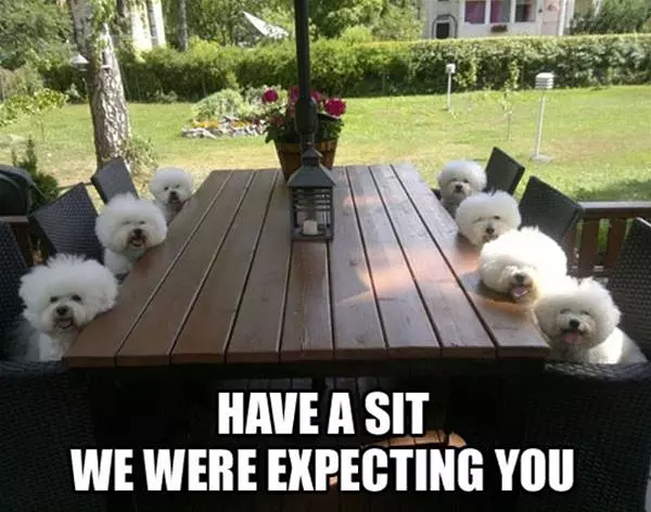 Have A Sit