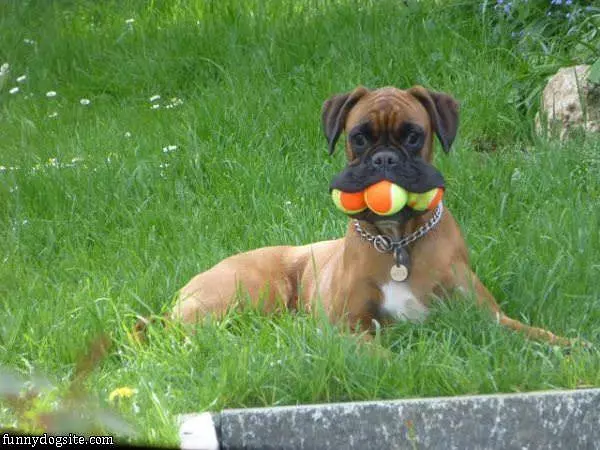 Triple Fetch
