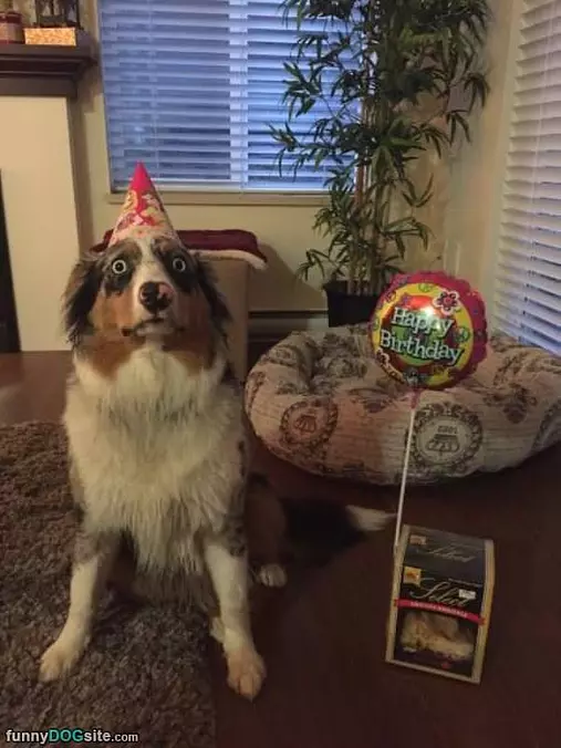 Very Happy Virthday
