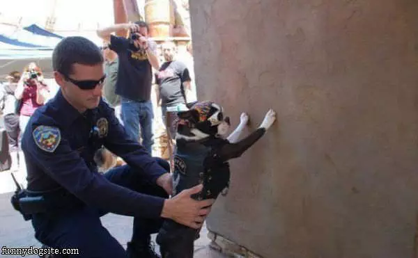 Under Arrest