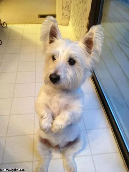 Sitting Up