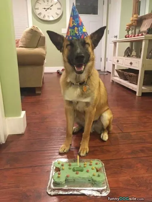 It Are My Birthday
