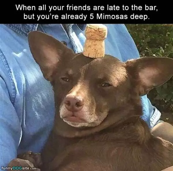 All Your Friends Are Late