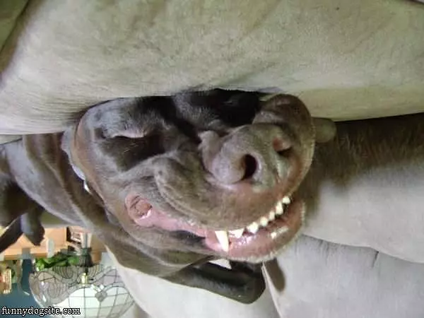 My Sleeping Face