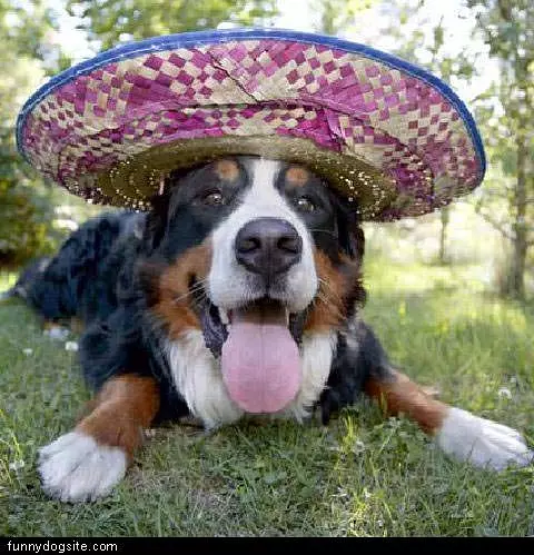 Sombrero