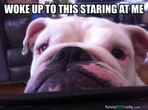 Staring At Me