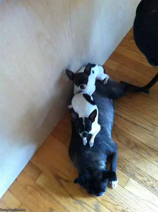 Comfy Spot