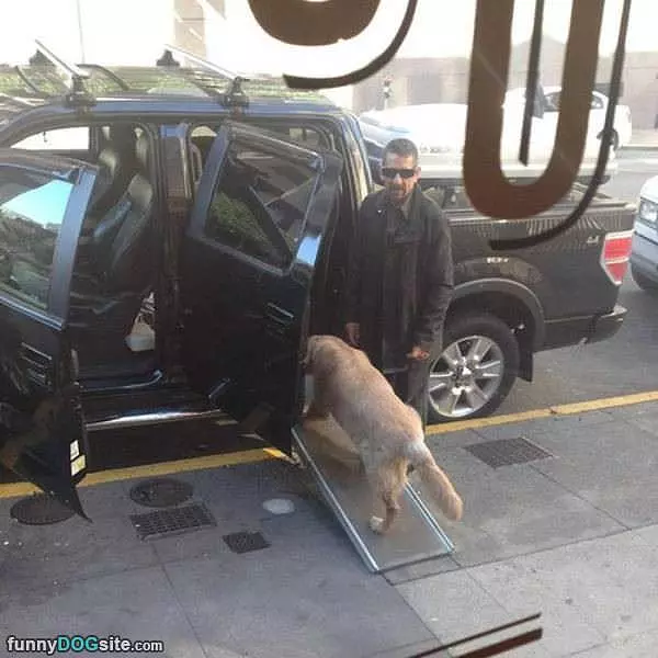 This Guy Loves His Dog