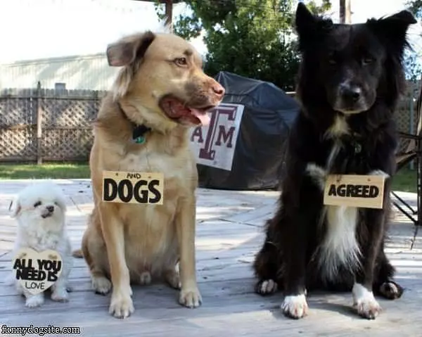 All They Need