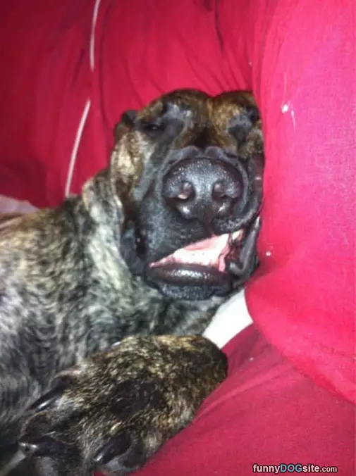 Super Passed Out